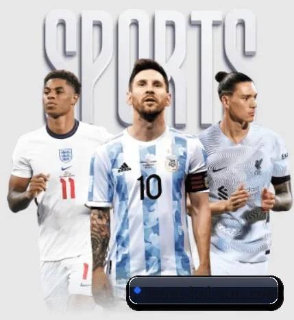 每个板块围绕一个运动项目展开 - 多运动项目内容板块（kaiyun）